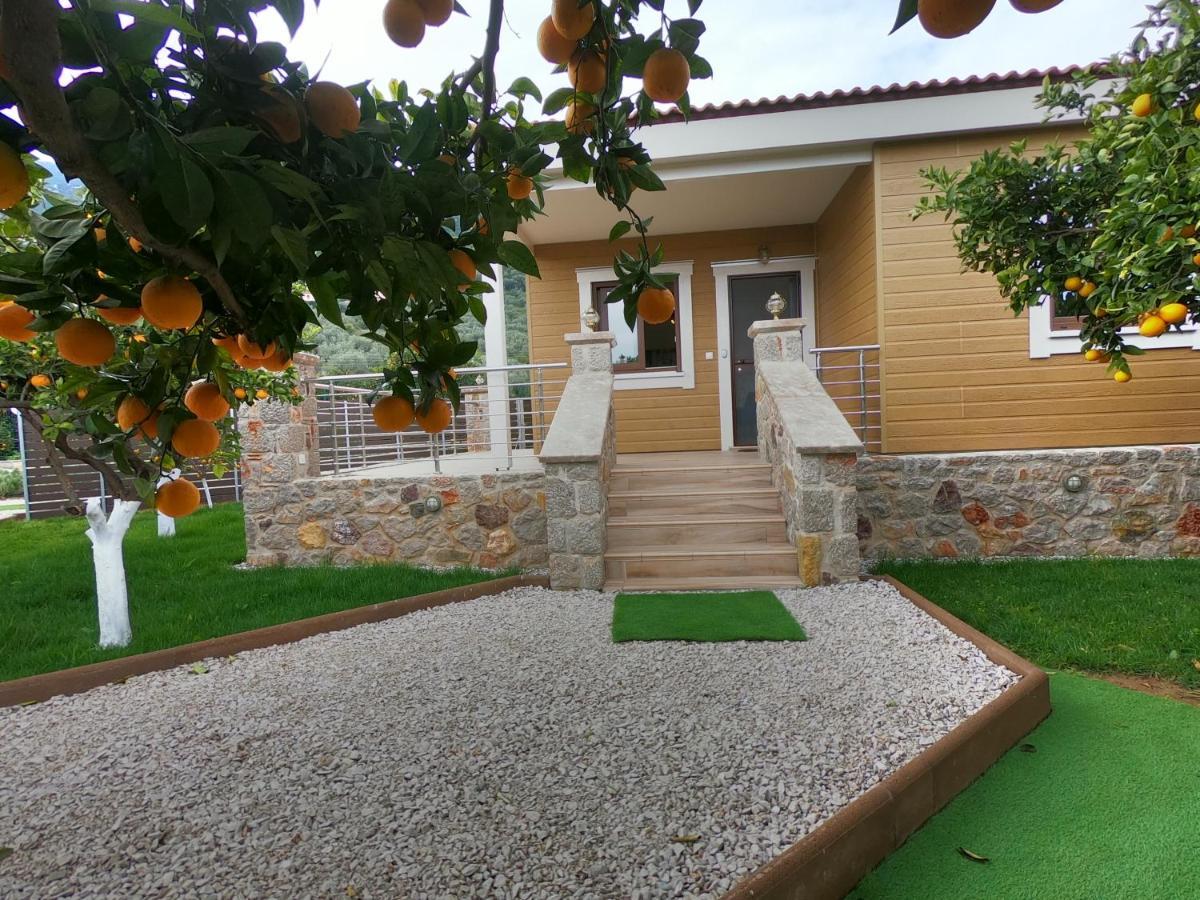 Desa Green Homes Epidaurus Exterior foto